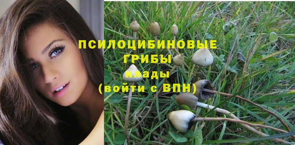 синтетический гашиш Осташков